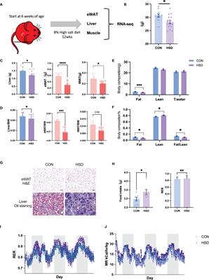 Transcriptome Analysis of Multiple Metabolic Tissues in High-Salt Diet–Fed Mice